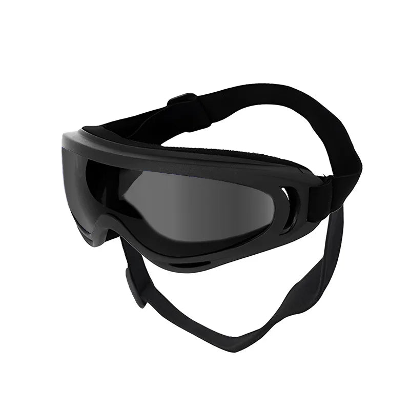 Dog Glasses Outdoor