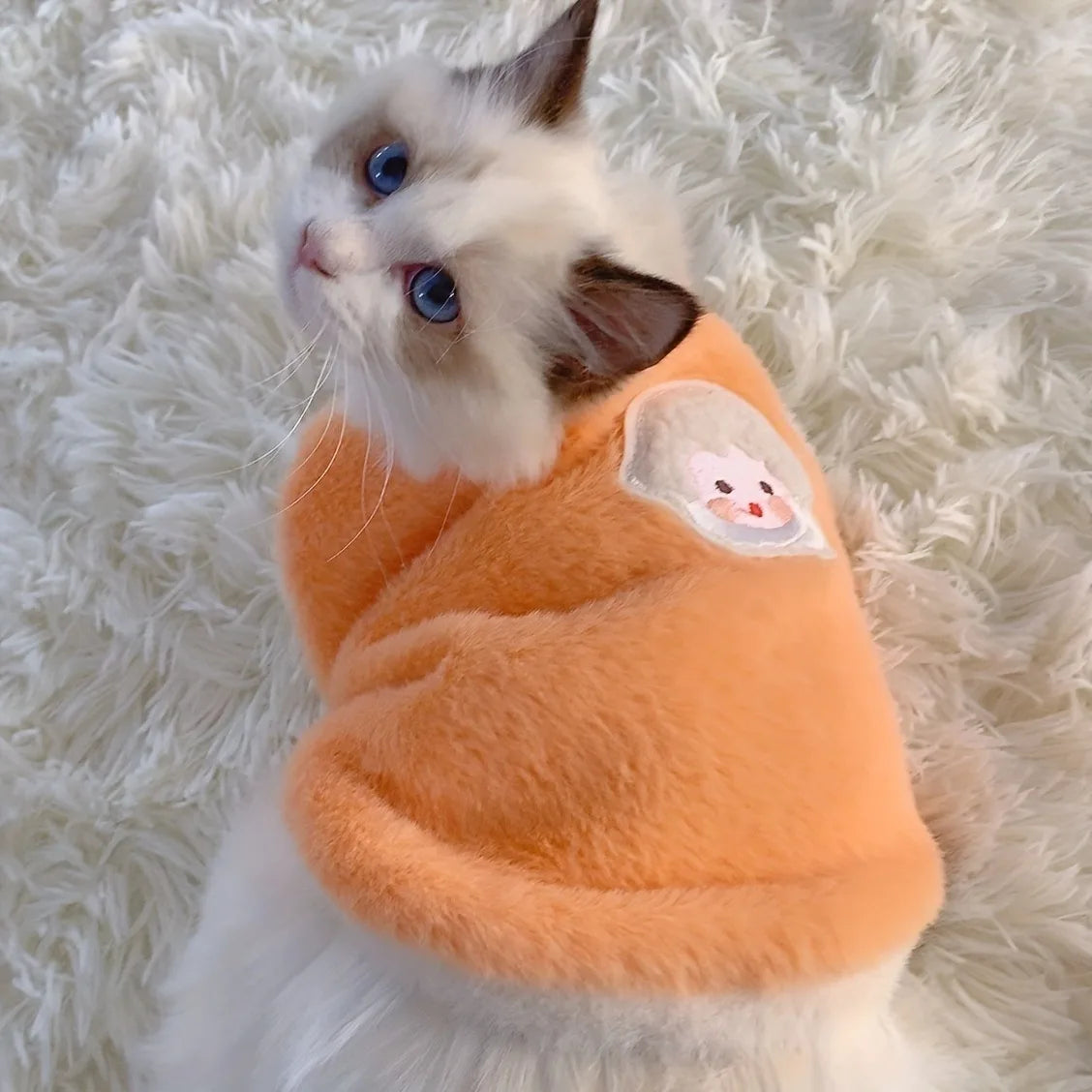 Cats Accessories Warm Clothes