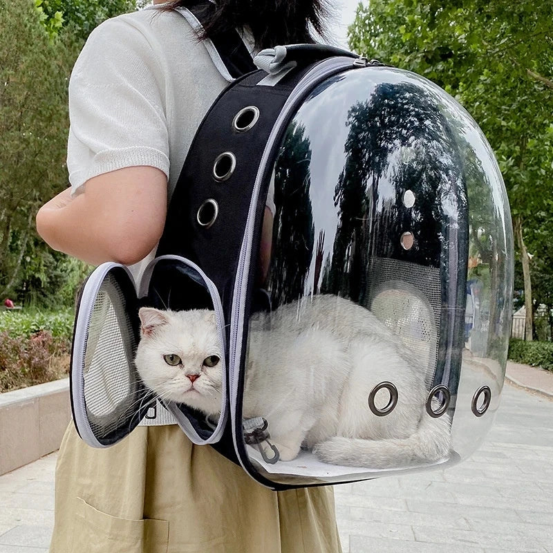 Cat Carrying Bag Space