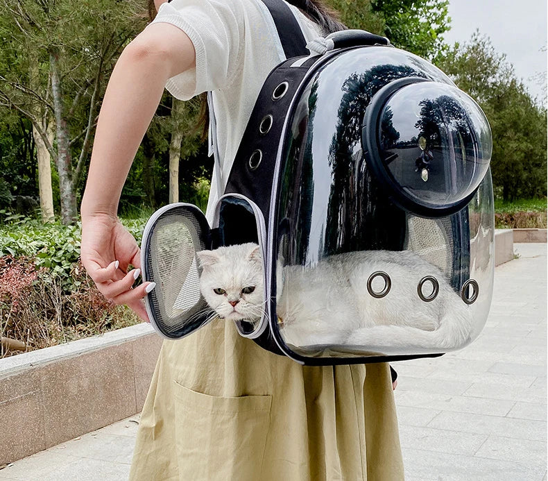 Cat Carrying Bag Space