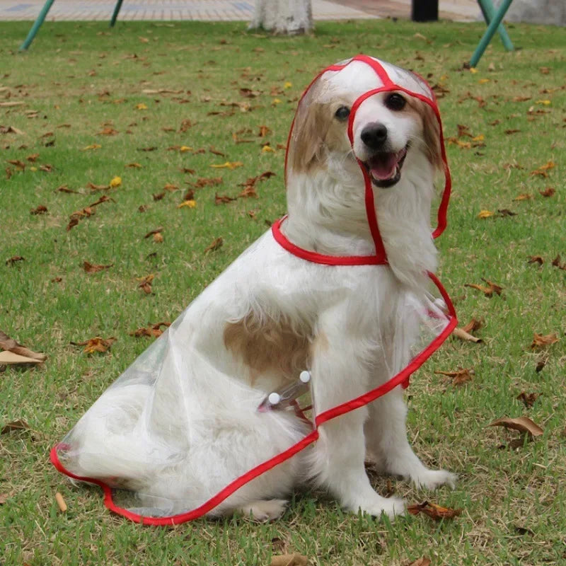 Pet Dog Puppy Transparent Rainwear