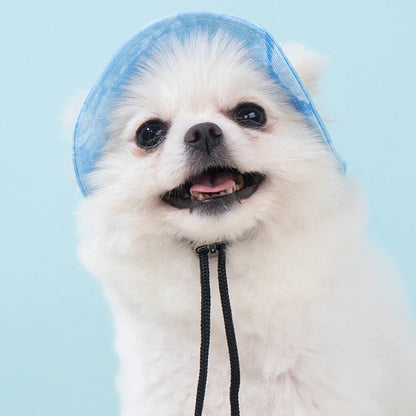 Fashion Dog Hat Adjustable
