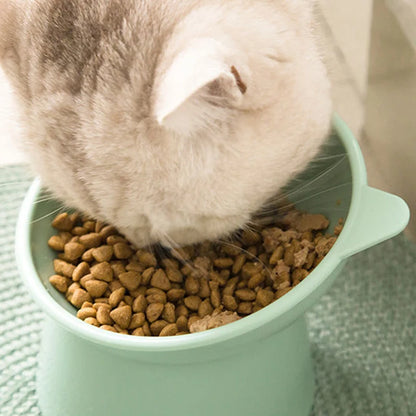 Cat Food Bowl