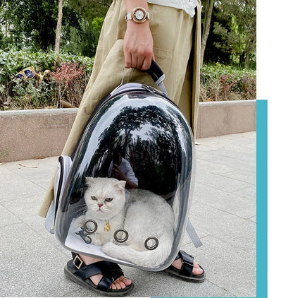 Cat Carrying Bag Space