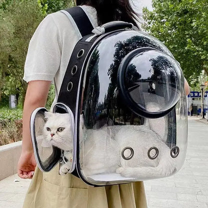 Cat Carrying Bag Space