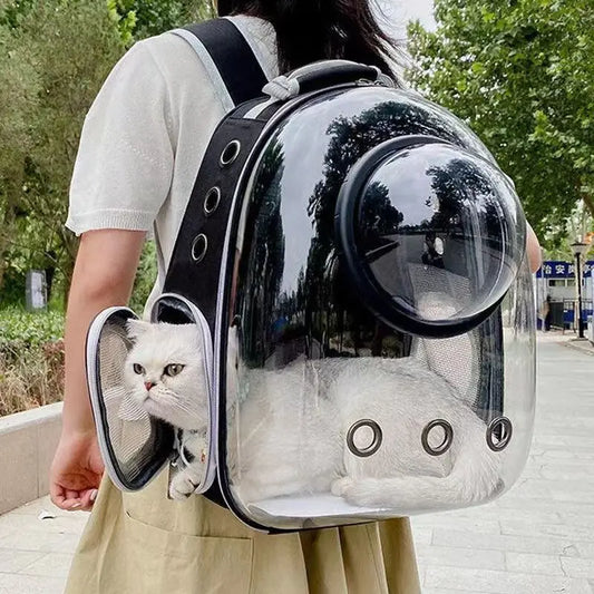 Cat Carrying Bag Space