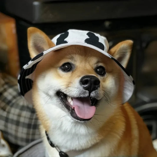 Fashion Dog Hat Adjustable