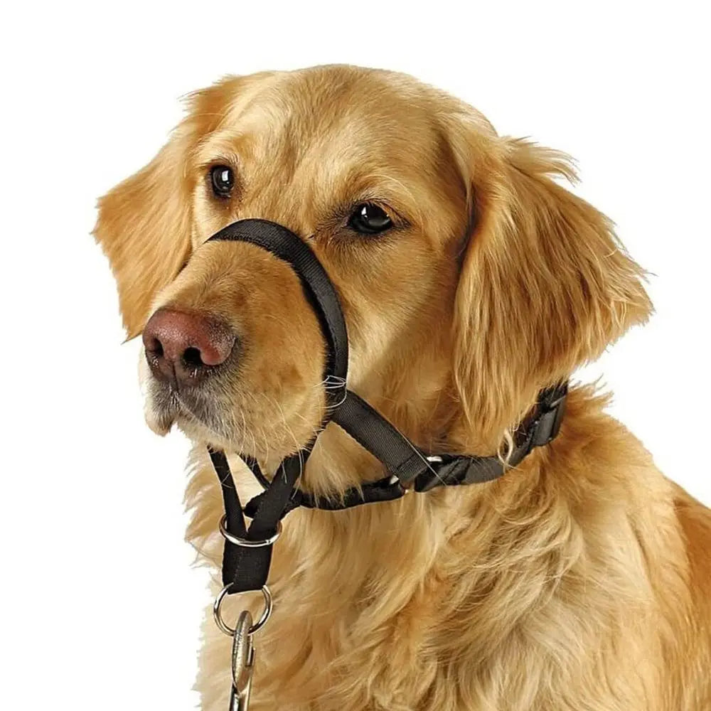Adjustable Anti Barking Dog Halter