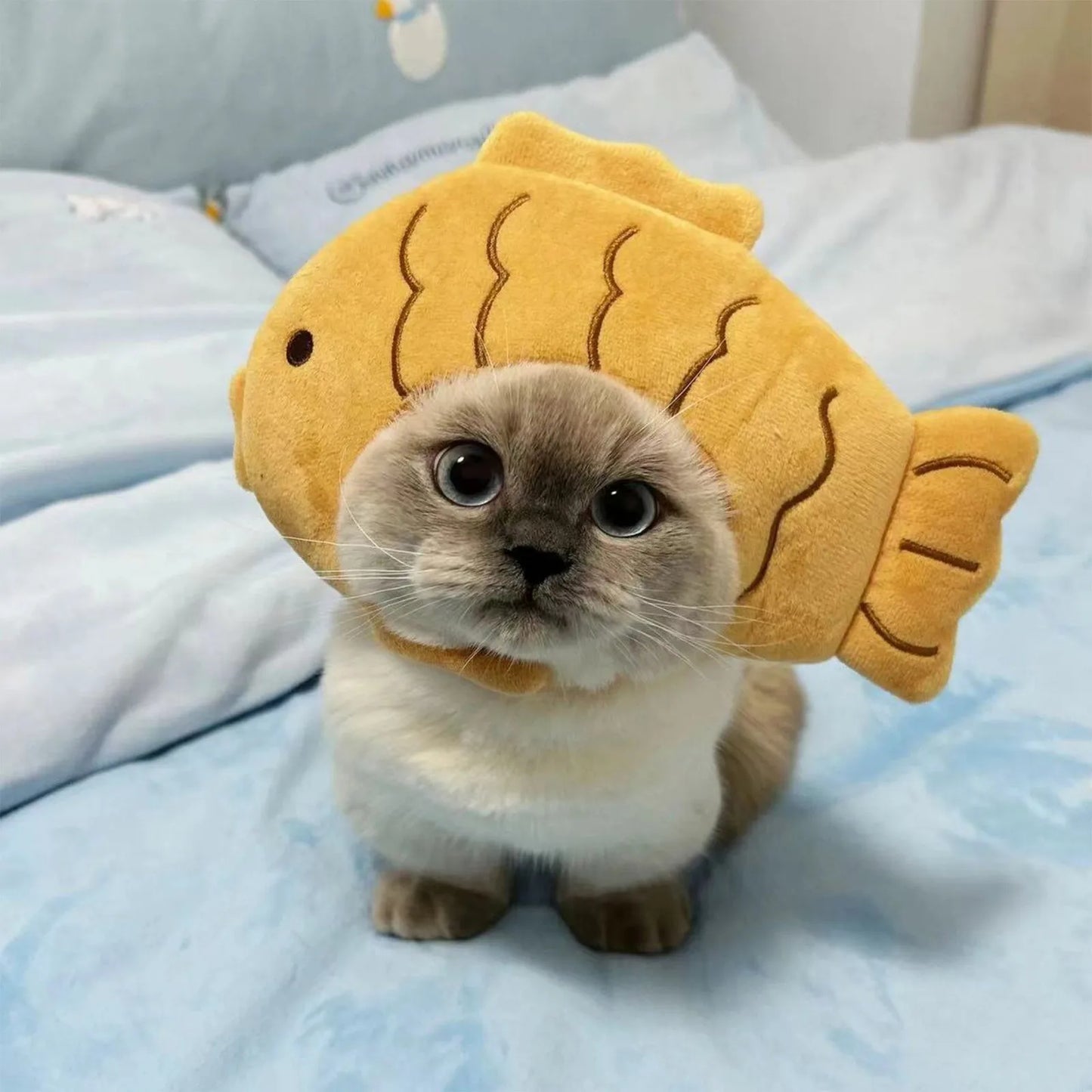 Cartoon Cat Hat Cute Fish Shape