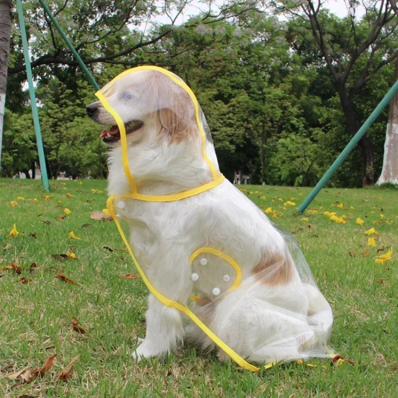 Pet Dog Puppy Transparent Rainwear