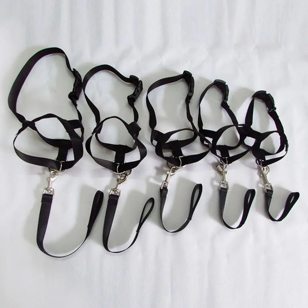 Adjustable Anti Barking Dog Halter