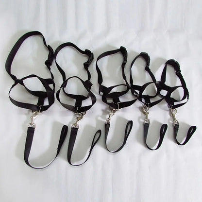 Adjustable Anti Barking Dog Halter