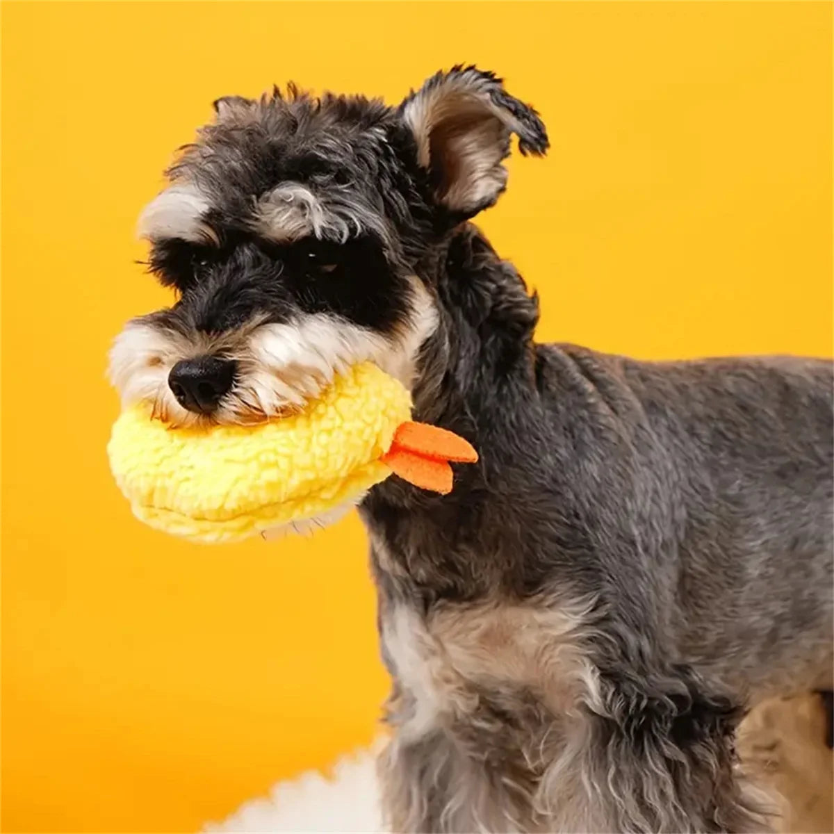 Fried Shrimp Tempura Dog Toy