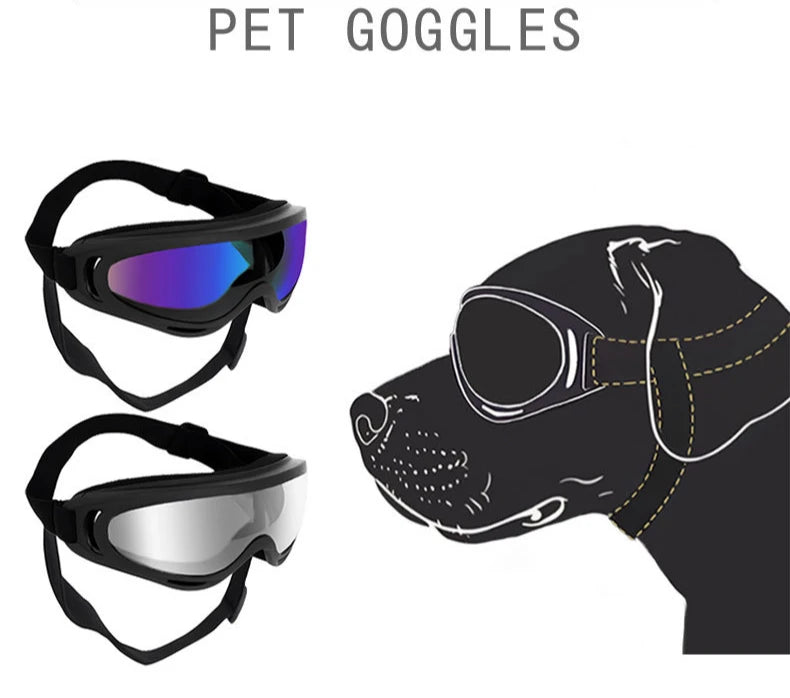 Dog Glasses Outdoor