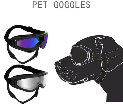 Dog Glasses Outdoor