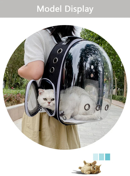 Cat Carrying Bag Space