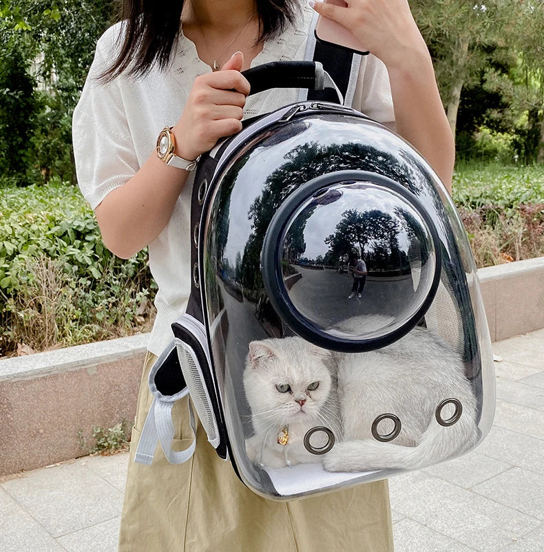 Cat Carrying Bag Space