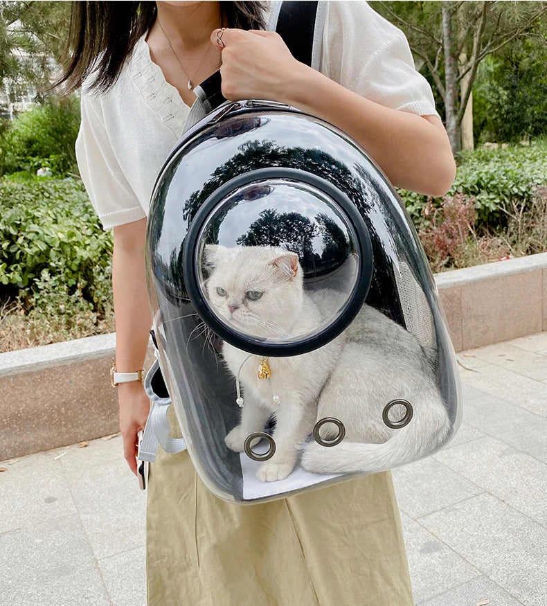 Cat Carrying Bag Space