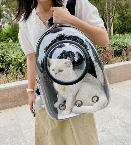 Cat Carrying Bag Space