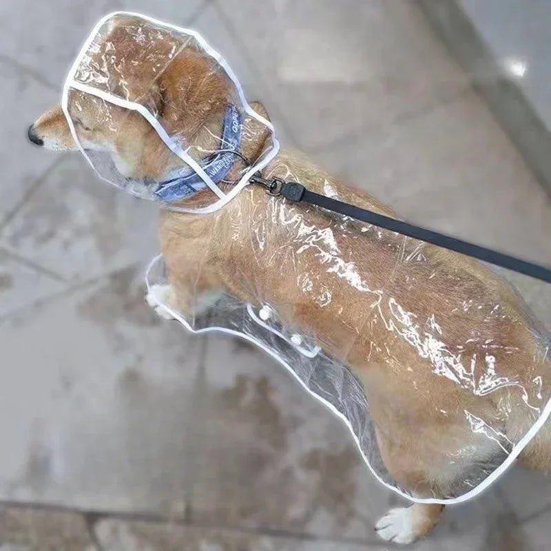 Pet Dog Puppy Transparent Rainwear