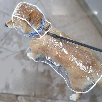 Pet Dog Puppy Transparent Rainwear