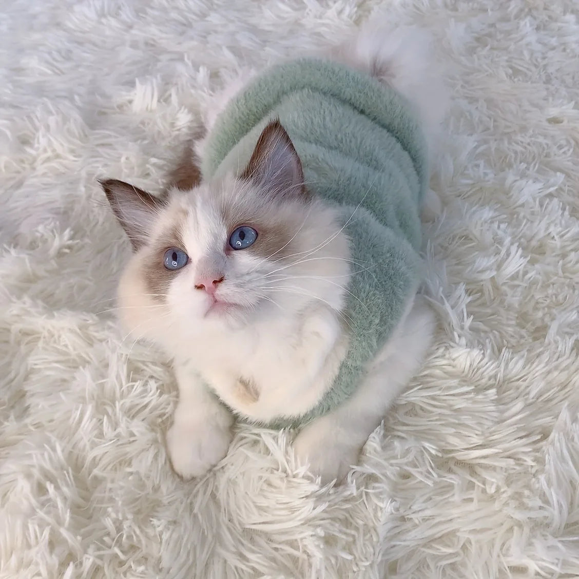 Cats Accessories Warm Clothes