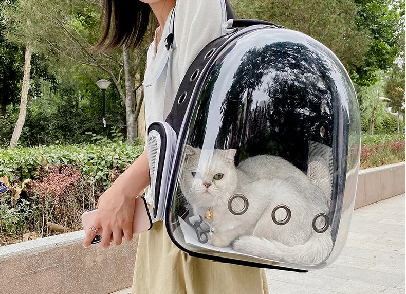 Cat Carrying Bag Space