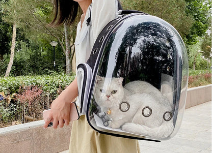 Cat Carrying Bag Space