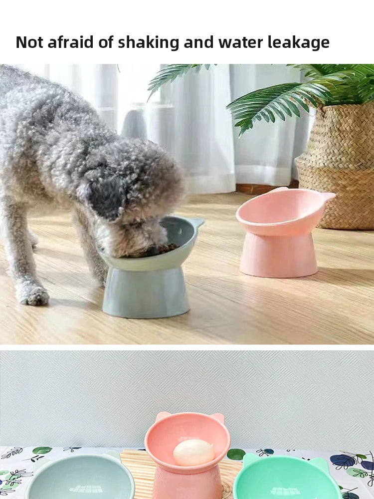 Cat Food Bowl