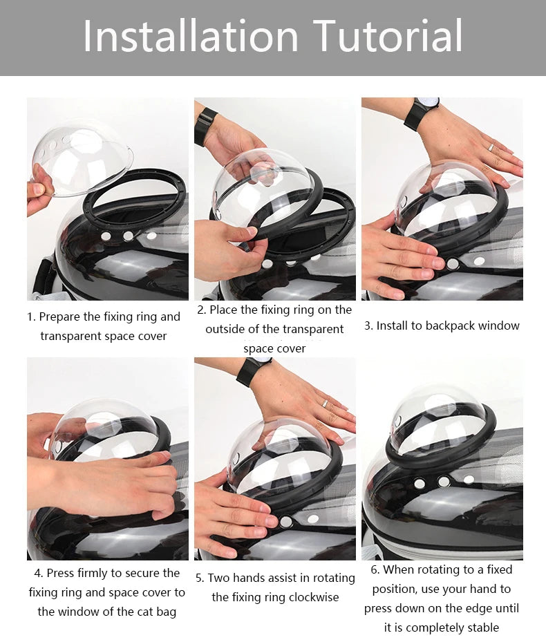 Cat Carrying Bag Space