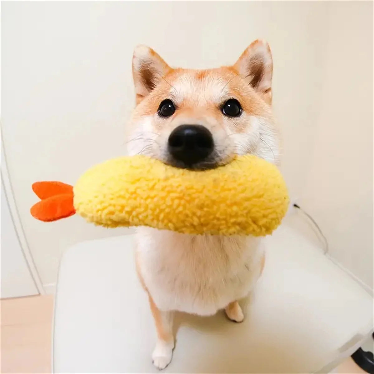 Fried Shrimp Tempura Dog Toy