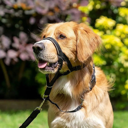 Adjustable Anti Barking Dog Halter
