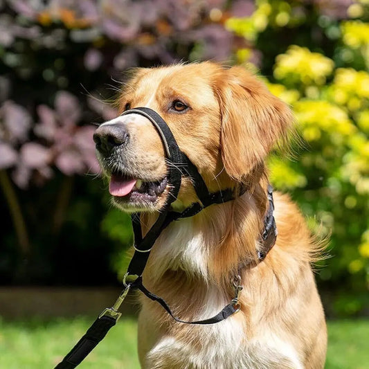 Adjustable Anti Barking Dog Halter