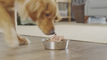 Pet Ear Cleaner Finger Wipes